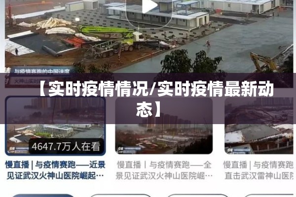 【实时疫情情况/实时疫情最新动态】