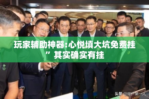 玩家辅助神器:心悦填大坑免费挂”其实确实有挂