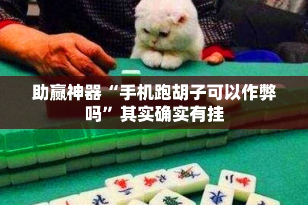 助赢神器“手机跑胡子可以作弊吗”其实确实有挂