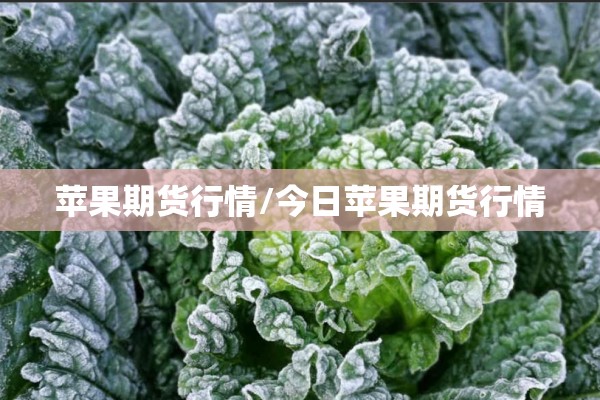 苹果期货行情/今日苹果期货行情