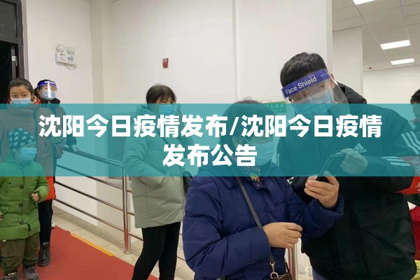 沈阳今日疫情发布/沈阳今日疫情发布公告