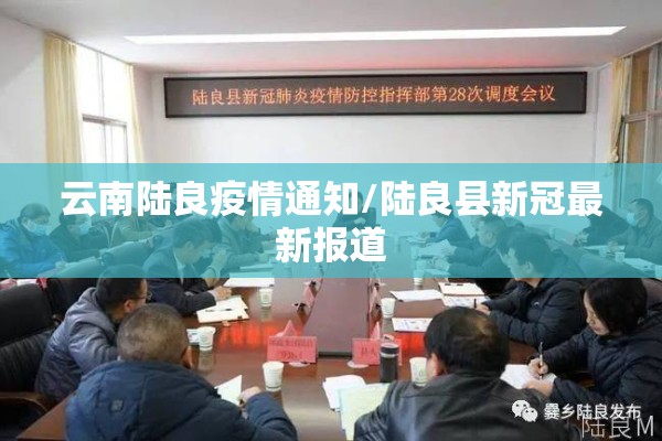 云南陆良疫情通知/陆良县新冠最新报道