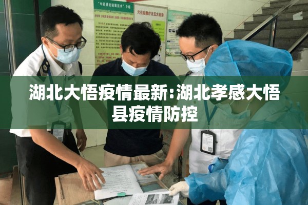 湖北大悟疫情最新:湖北孝感大悟县疫情防控