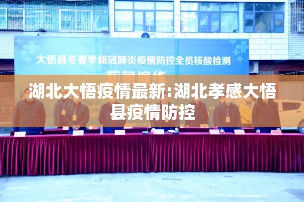 湖北大悟疫情最新:湖北孝感大悟县疫情防控