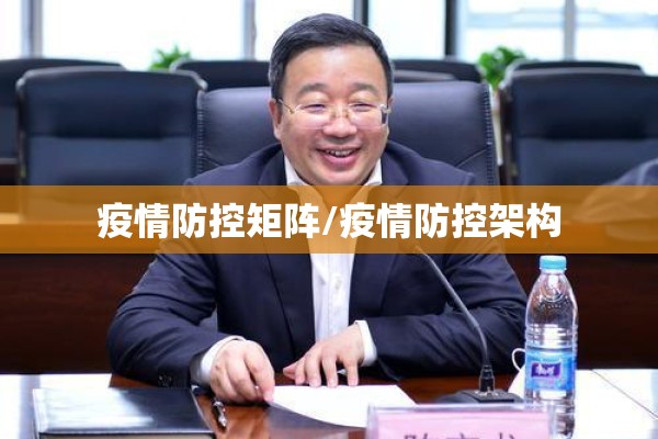 疫情防控矩阵/疫情防控架构