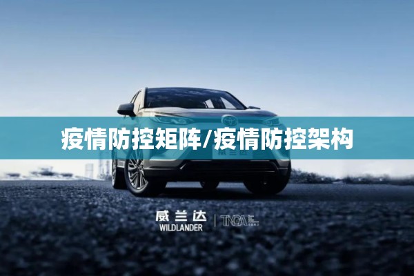 疫情防控矩阵/疫情防控架构