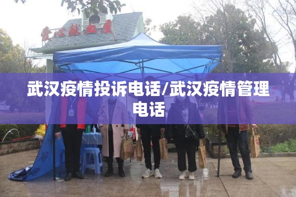 武汉疫情投诉电话/武汉疫情管理电话