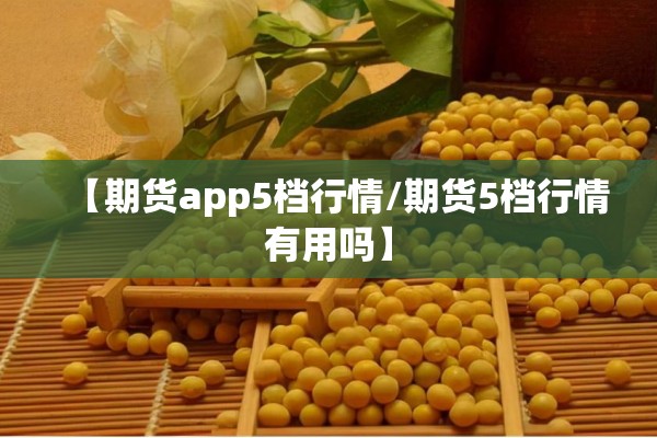 【期货app5档行情/期货5档行情有用吗】