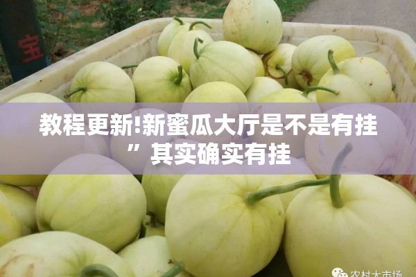 教程更新!新蜜瓜大厅是不是有挂”其实确实有挂