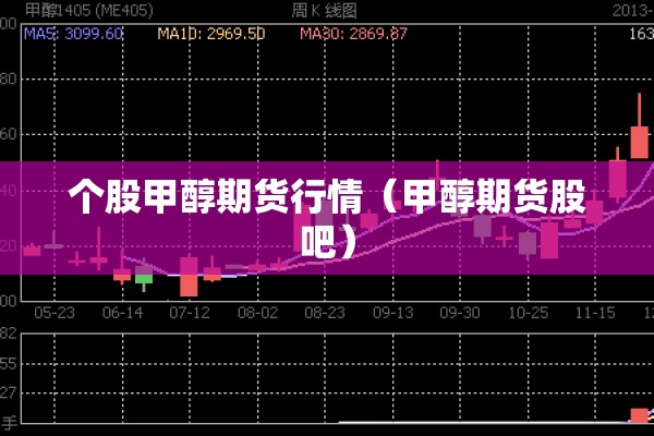 个股甲醇期货行情（甲醇期货股吧）