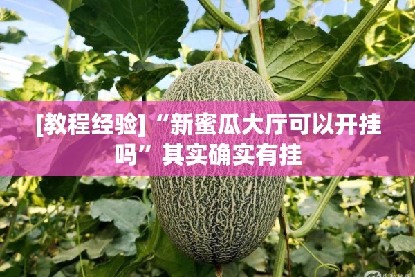 [教程经验]“新蜜瓜大厅可以开挂吗”其实确实有挂