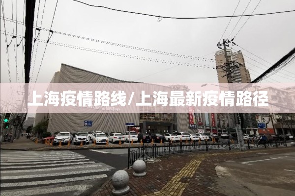 上海疫情路线/上海最新疫情路径