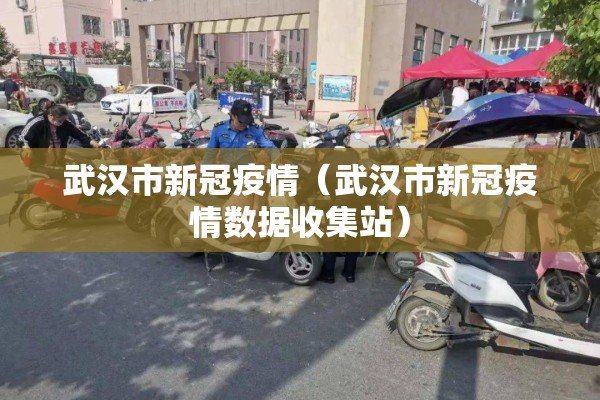 武汉市新冠疫情（武汉市新冠疫情数据收集站）