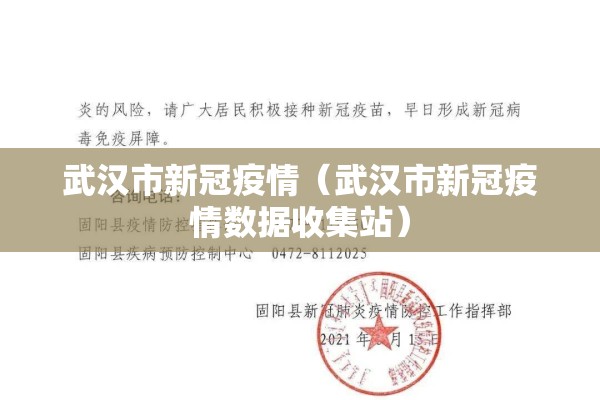武汉市新冠疫情（武汉市新冠疫情数据收集站）