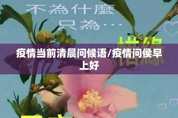 疫情当前清晨问候语/疫情问侯早上好