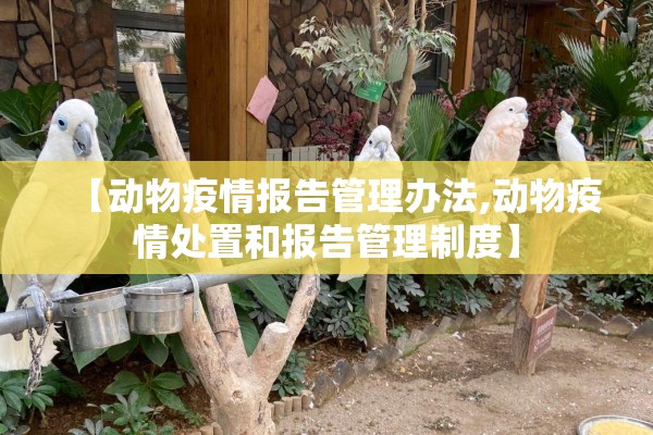 【动物疫情报告管理办法,动物疫情处置和报告管理制度】