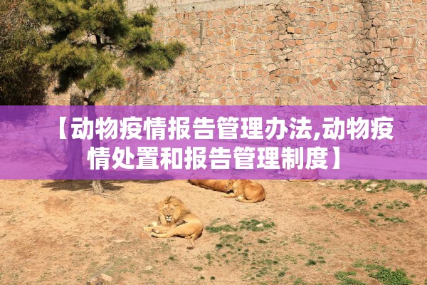 【动物疫情报告管理办法,动物疫情处置和报告管理制度】