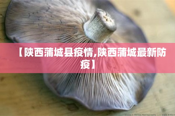 【陕西蒲城县疫情,陕西蒲城最新防疫】
