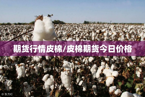 期货行情皮棉/皮棉期货今日价格