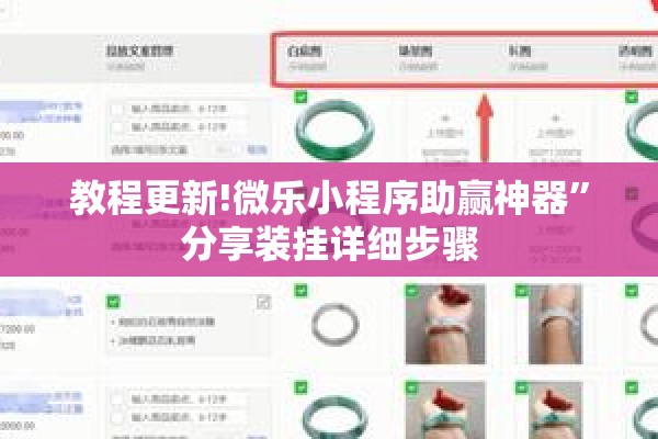 教程更新!微乐小程序助赢神器”分享装挂详细步骤