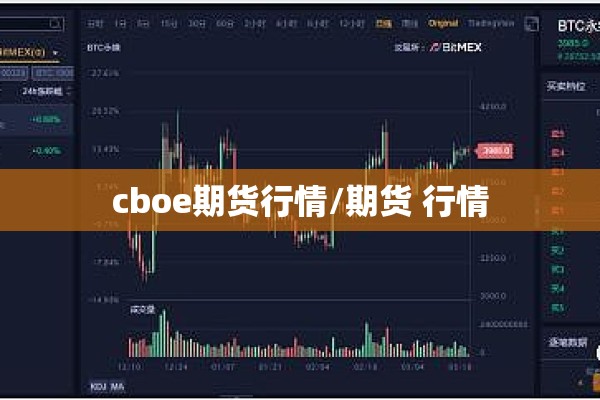 cboe期货行情/期货 行情