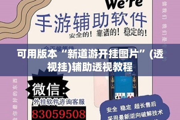 可用版本“新道游开挂图片	”(透视挂)辅助透视教程