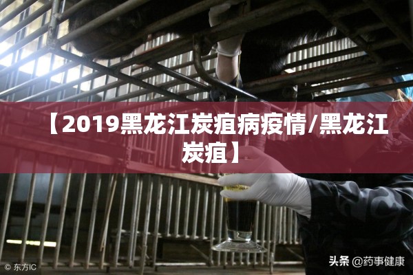 【2019黑龙江炭疽病疫情/黑龙江 炭疽】