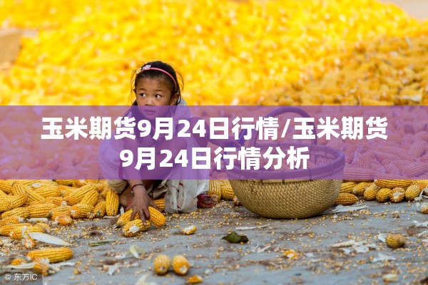 玉米期货9月24日行情/玉米期货9月24日行情分析