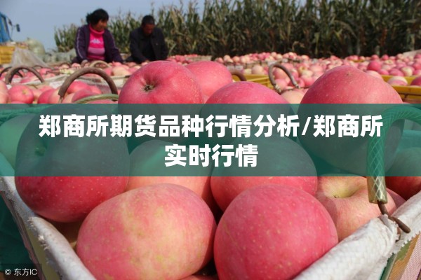 郑商所期货品种行情分析/郑商所实时行情