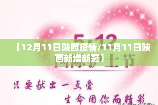【12月11日陕西疫情/11月11日陕西新增新冠】