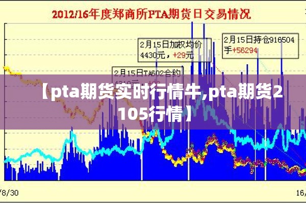 【pta期货实时行情牛,pta期货2105行情】