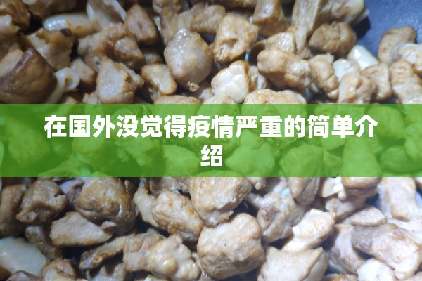 在国外没觉得疫情严重的简单介绍