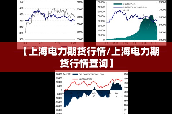 【上海电力期货行情/上海电力期货行情查询】