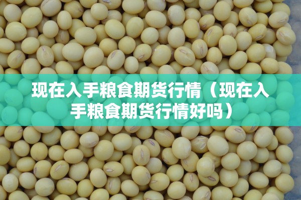 现在入手粮食期货行情（现在入手粮食期货行情好吗）