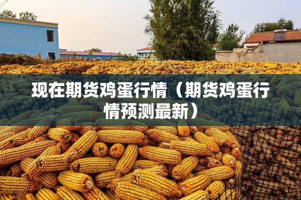 现在期货鸡蛋行情（期货鸡蛋行情预测最新）