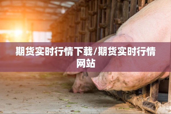 期货实时行情下载/期货实时行情网站 期货实时行情下载/期货实时行情网站