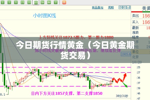 今日期货行情黄金（今日黄金期货交易）