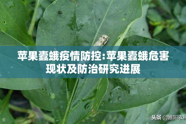 苹果蠹蛾疫情防控:苹果蠹蛾危害现状及防治研究进展
