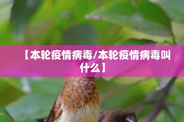 【本轮疫情病毒/本轮疫情病毒叫什么】 【本轮疫情病毒/本轮疫情病毒叫什么】