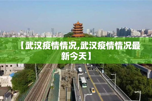 【武汉疫情情况,武汉疫情情况最新今天】