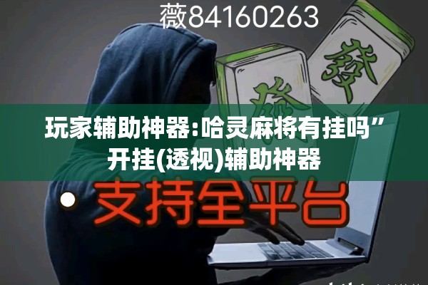 玩家辅助神器:哈灵麻将有挂吗”开挂(透视)辅助神器