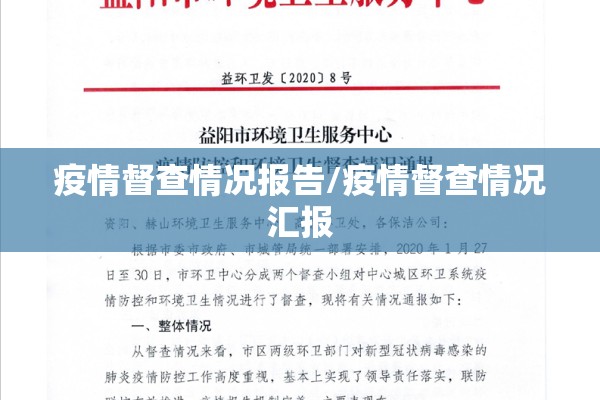 疫情督查情况报告/疫情督查情况汇报