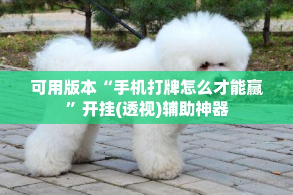 可用版本“手机打牌怎么才能赢”开挂(透视)辅助神器