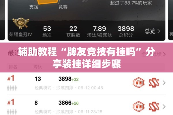 辅助教程“牌友竞技有挂吗”分享装挂详细步骤