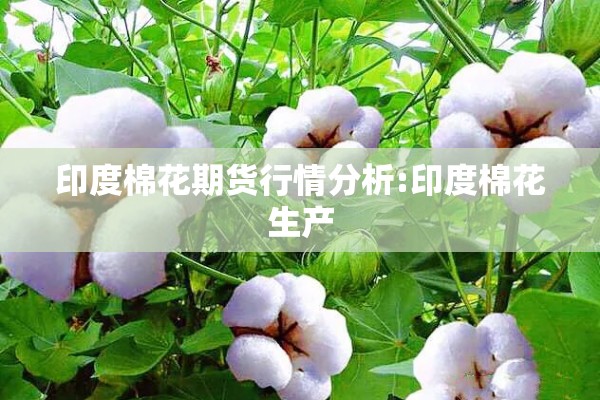 印度棉花期货行情分析:印度棉花生产