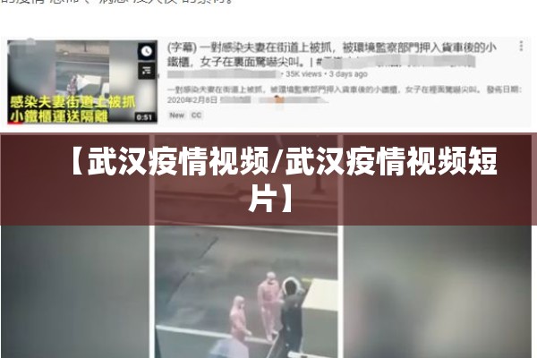 【武汉疫情视频/武汉疫情视频短片】