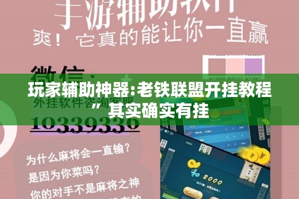玩家辅助神器:老铁联盟开挂教程”其实确实有挂