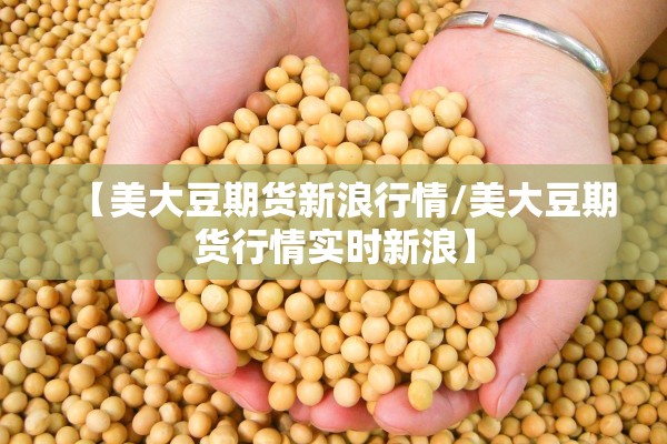 【美大豆期货新浪行情/美大豆期货行情实时新浪】