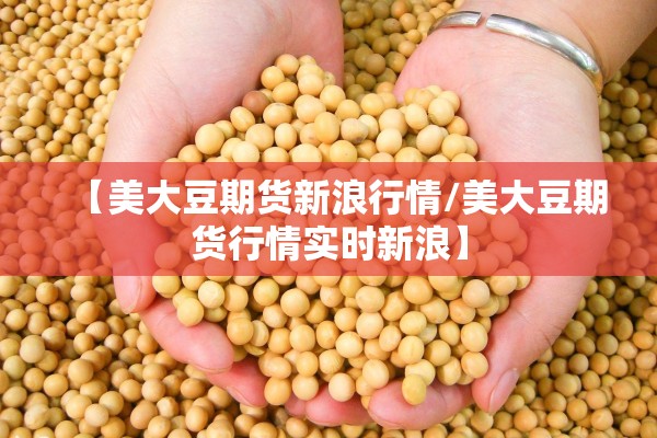 【美大豆期货新浪行情/美大豆期货行情实时新浪】