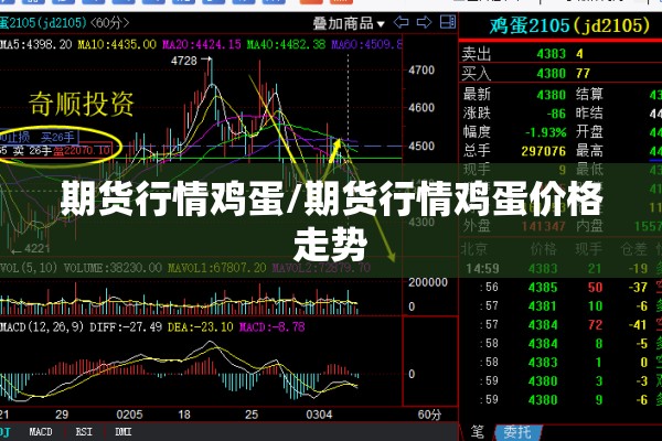 期货行情鸡蛋/期货行情鸡蛋价格走势